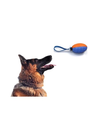 River World Köpekler İçin Oyun Topu Diş Kaşıma İçin