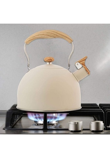 Düdüklü Su Isıtıcısı, 2,5 L Düdüklü Su Isıtıcısı, İndüksiyon Gazlı Su Isıtıcısı, Paslanmaz Çelik Su Isıtıcısı, Düdüklü Su Isıtıcısı, Çaydanlık, İndüksiyon Gazlı Ocaklar İçin, Kolay Temizlenir Diğer