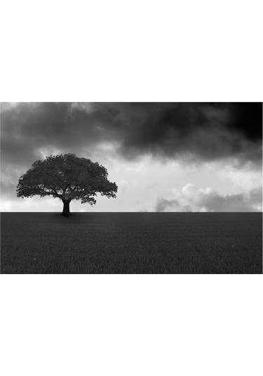 Dört Mevsim Ağaçlar Doğal Taş Bardak Altlığı 4'lü Set - Natural Stone Coasters - Taş Çok Renkli