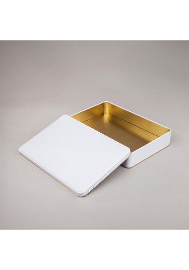 Beyaz Metal Kutu 30x20x4,5 Cm