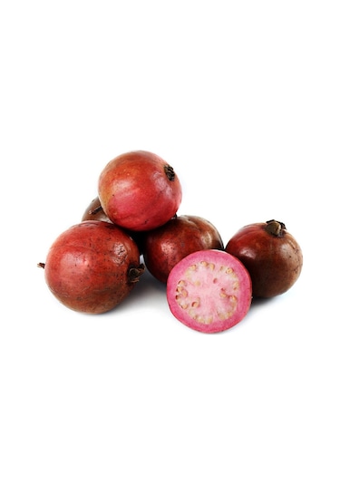 5 Adet Tropik Çilek Guava Meyvesi Tohumu