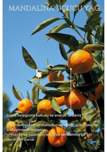 Bade Natural Mandalina Uçucu Yağı %100 Saf 10 ML