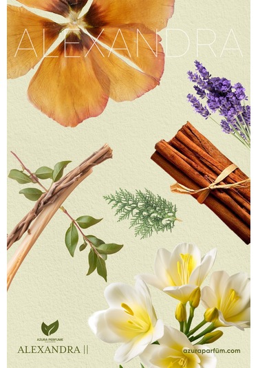 Azura Prestige Niche Alexandra Unisex Parfüm EDP 100 ML