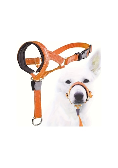Elmpaly Orange M Köpek Başlığı, Ayarlanabilir Tasmalı, Yürüyüş Ve Eğitim İçin