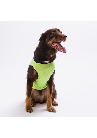 Pawstar Yeşil Shark Büyük Köpek Tişörtü Köpek Kıyafeti