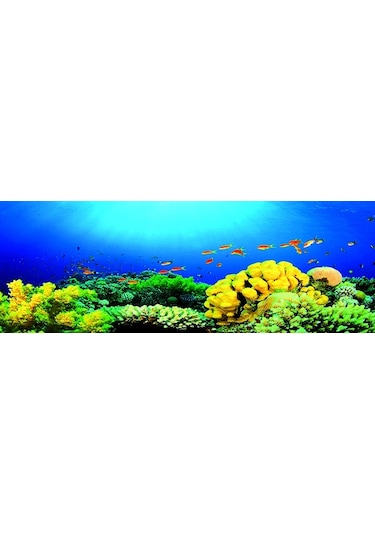 Kanki Pet Akvaryum Arka Fon Yapıştırma 185x65 Cm Kp1856527