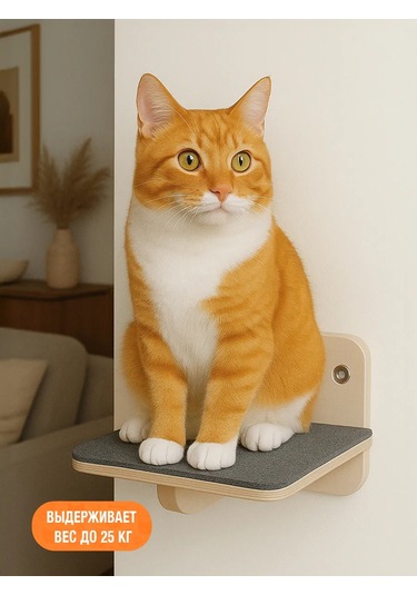 Go Cats Kedi Tüyü Döşemeli Duvar Rafı 430861489