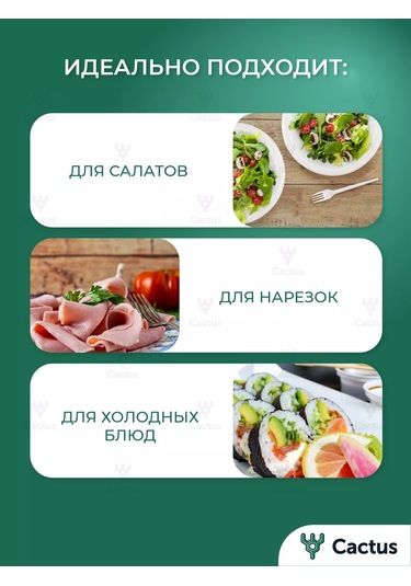 Cactus Çorba İçin Tek Kullanımlık Plastik Tabaklar 500ml 50 Adet 30123846 100 adet