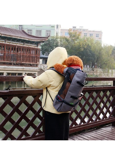 Homyl Kedi Ve Küçük Köpek Seyahat Kamp Yürüyüş Için