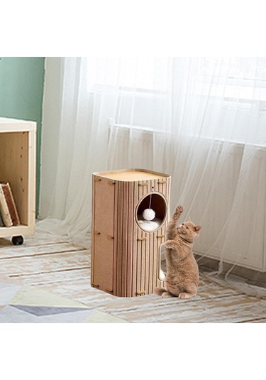 Suntek Kedi Evi Kapalı Tünel Daire İç Mekan Dış Kediler