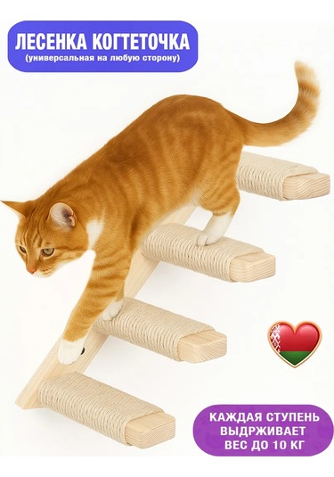 Go Cats Kedi Tırmanma Merdiveni Tırnak Törpüleme 388128715