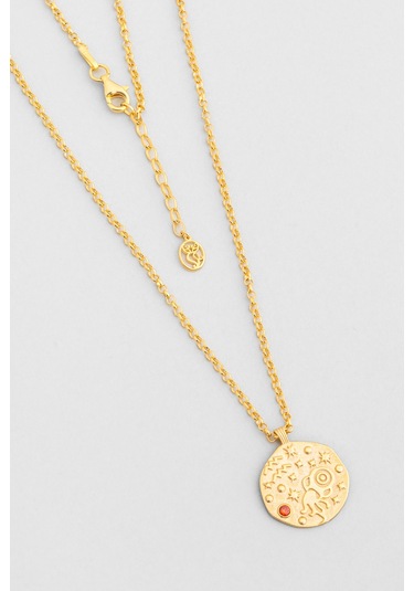 Kova Burcu 18 Ayar Sarı Altın Kaplama 45 Cm Gümüş Kolye Sarı