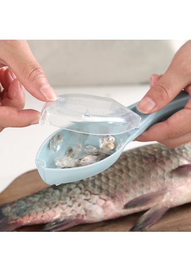 Jian Fan Kazıma Balık Pulu Artefaktı Mavi Mavi