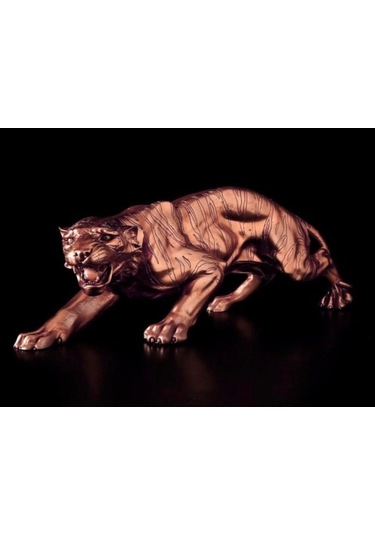 Kaplan Biblo (552970999)