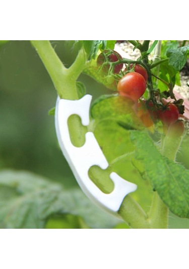 Kosona 100 Adet Domates Dalı Sabitleyici Klip - Dayanıklı Plastik, Meyve Sapını Kırılmadan Korur, Kolay Kullanım