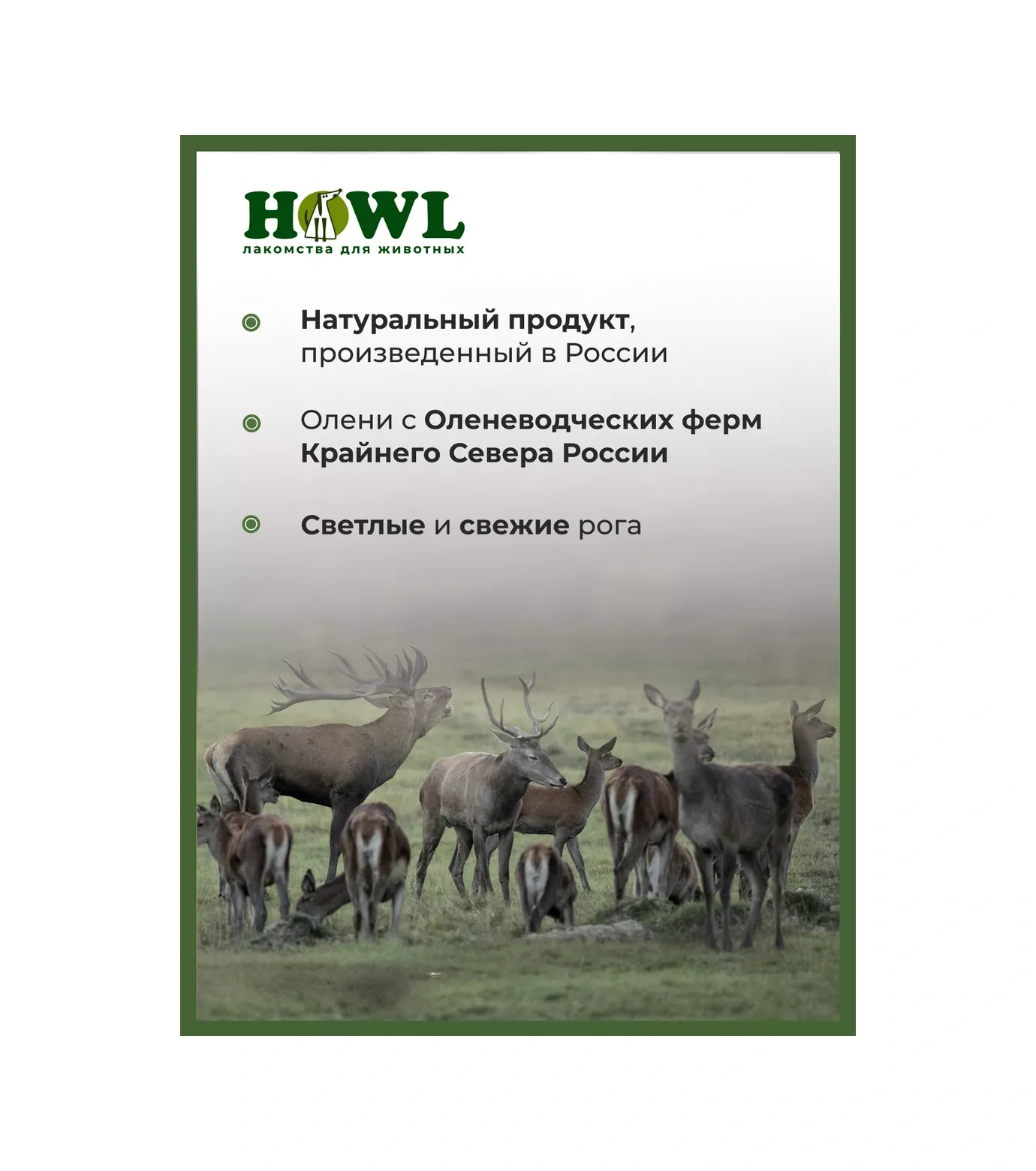 Howl Köpekler İçin Geyik Boynuzu M 80-110 G 74282202