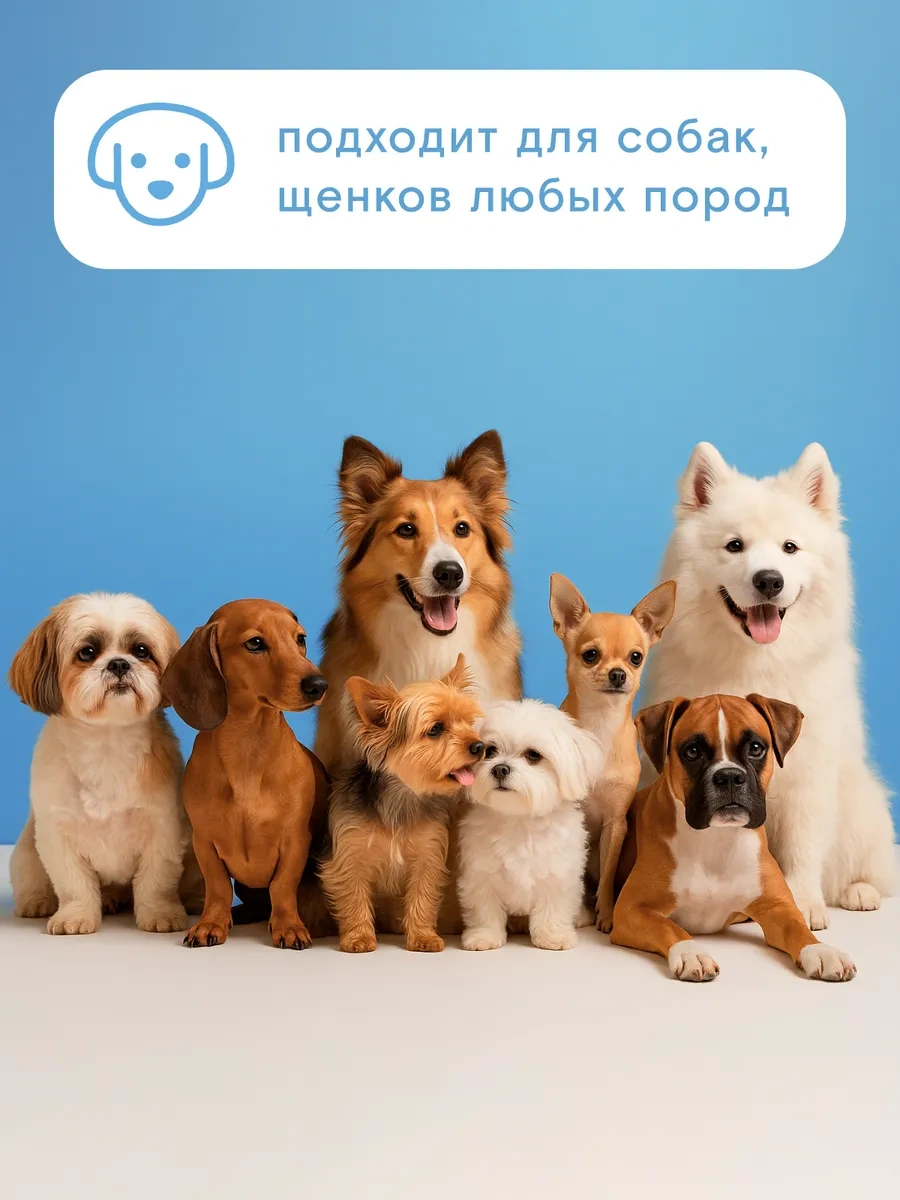 Wonder Lab Panthenol İçeren Köpek Şampuanı 1l, Yavru Köpeklerin Ayak Yıkama İçin Ekolojik 276633660