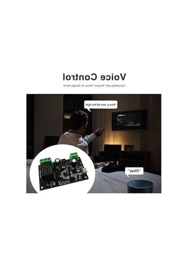 Pazly Tuya 5-32v Dc Wifi Röle Modülü - Alexa/google Uyumlu, Zamanlı, 2 Modlu, Led Işıklı Diğer