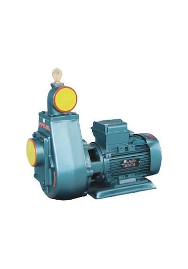 Domak Ük3 3hp Monoblok Monofaze Elektropomp