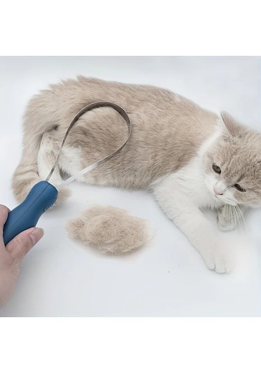 Elmpaly Mavi 2 Taraflı Evcil Hayvan Tüy Fırçası: Kedi Köpek At Taranması, Sağlıklı Tüy