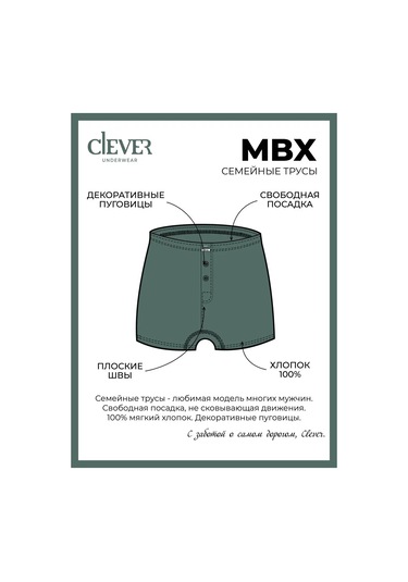 Clever Wear Aile Pamuklu Külotları 12227424 Siyah