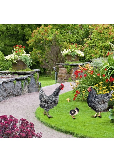 Suntek 3 Tavuk Heykeli Avlu Çim Yard Dekorasyon Için