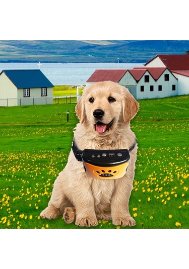 Suntek Su Geçirmez Köpek Eğitim Tasması Titreşim Turuncu