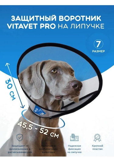 Vıtavet Pro Kedi Ve Köpekler İçin Veteriner Korumalı Yaka 184404600