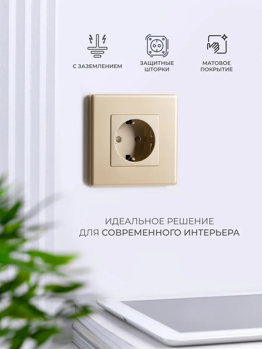 Tocterra Topraklı Tekli Altın Priz 291836673 Tava-yao