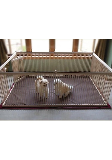 200x100 Ahşap Köpek Çiti (Yükseklik 50 cm.)