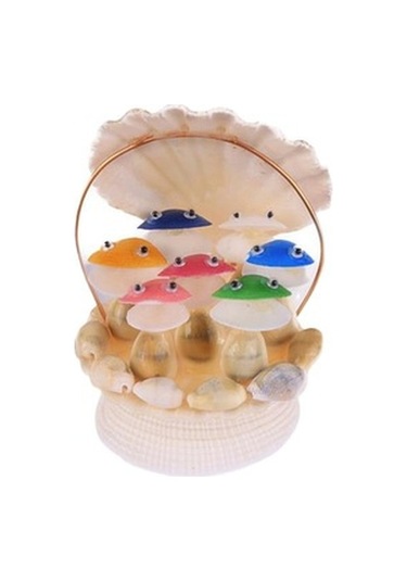 Dekoratif Doğal Deniz Kabuklu Koro Biblo