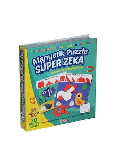 DiyToy Süper Zeka Manyetik Oyuncaklar Kutu Oyunu