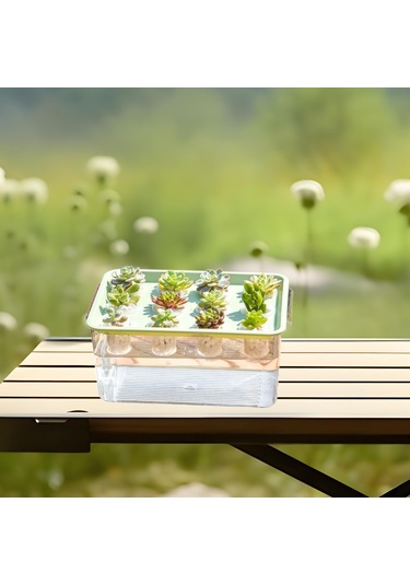 Suntek Hidroponik Yetiştirici Kutusu 12 Delik Sebzeler Yeşil