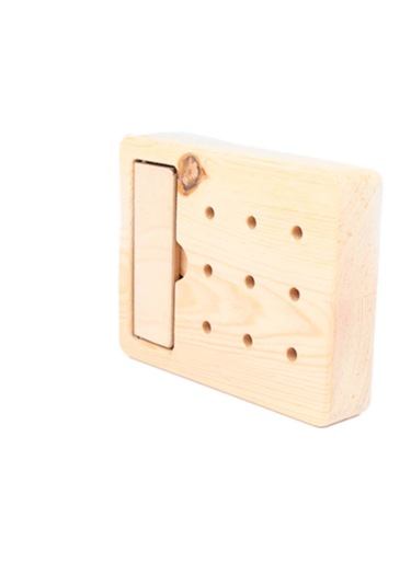 Dokuz Delikli Peg Testi