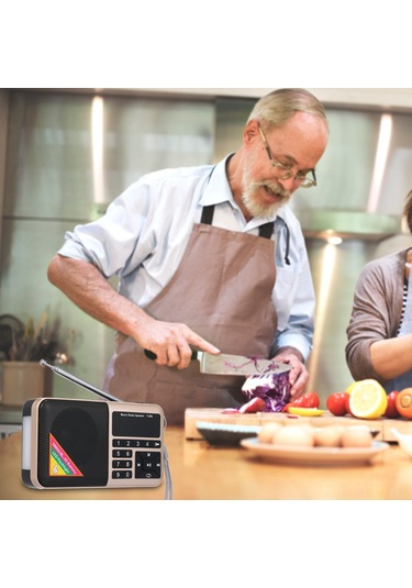 Springsun Y-509 Modeli Fm Radyo: Led Fenerli, Mp3 Çalar, 1500mah Şarj Edilebilir Pil Ve Usb Kablosu İçeren Taşınabilir Cihaz