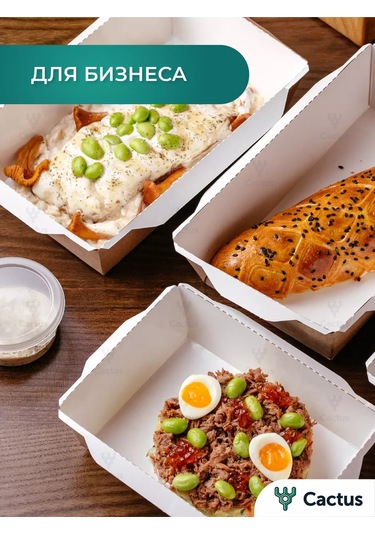 Cactus Tek Kullanımlık Trifle Kutuları, 800 Ml Gıda Kapları 224868223 100 adet