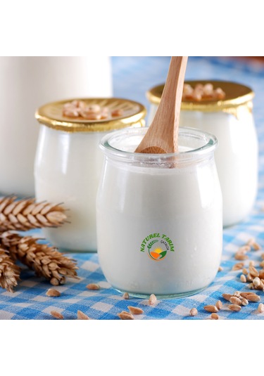 Naturel Manda Sütü Yoğurt Tam Yağlı 800 Gr