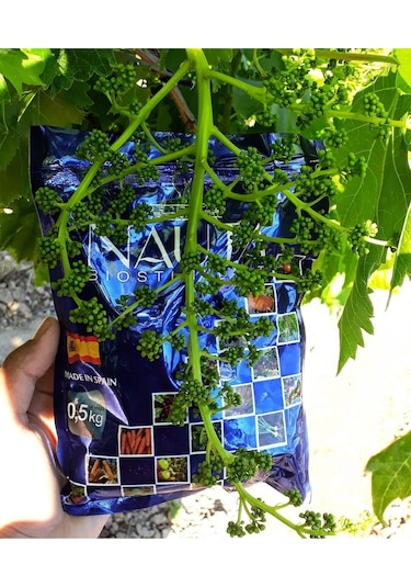 Nauta Biostimulant Katı Deniz Yosunu 500 Gr