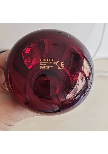 Ana Kucağı Isıtıcı Set 2 Adet 100 W Infrared Isıtıcı, Dijital Termostatlı . 1 Adet Aydınlatma