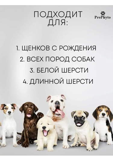 Prophyto Köpekler İçin Hipoalerjenik Kaşıntı Ve Alerji Şampuanı 250ml 151964977