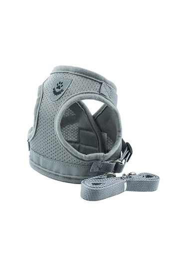 Geeroyoo Yumuşak Mesh Evcil Hayat Tasması - Ayarlanabilir, Reflektif, Köpek/kedi/tavşan İçin Gri, S Gri