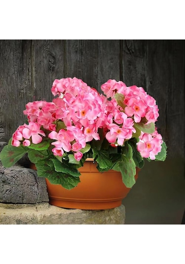 Yapay Çiçek Sardunya Demeti 40 25cm 1.kalite Pembe Balkon Çiçeği