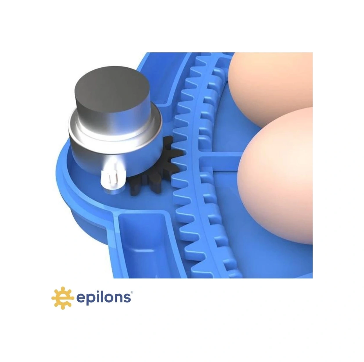 80/240 Kapasiteli Çift Viyollü Kuluçka Makinesi Kaz Ördek Tavuk Bıldırcın Kuşlar İçin