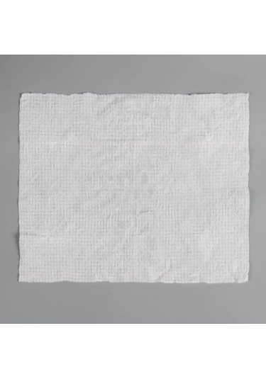 Suda Büyüyen Sıkıştırılmış Mendil 20 Adet