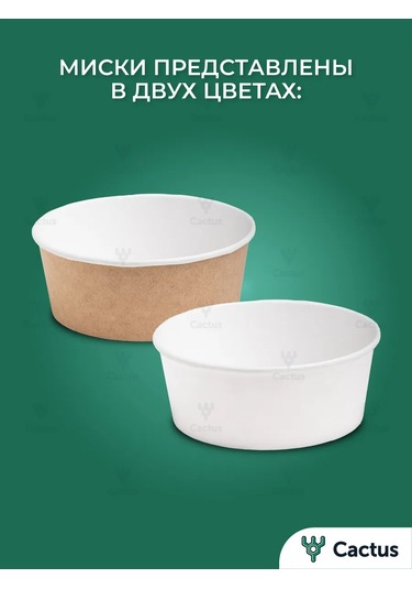 Cactus Kapaklı Derin Kağıt Tek Kullanımlık Tabaklar 10 Adet 317372833 100 adet