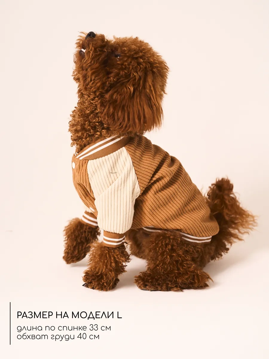 Petite Pets Küçük Irk Köpekler İçin Bomber Ceket 338568298