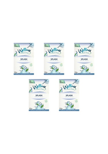 Wellnax Dolap ve Çekmece Kokusu Splash Etkisi Kesesi 5 x 21 G