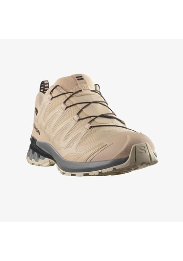 Salomon Xa Pro 3d V9 Gtx Gore-tex Erkek Outdoor Ayakkabı C-sal478820e10g01 Bej