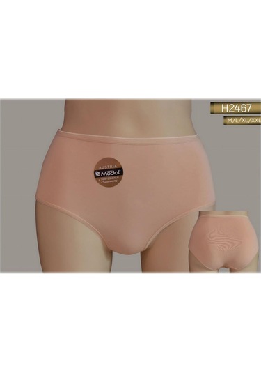 Yüksek Bel Modal Slıp Külot Kadın 2467 çok Renkli