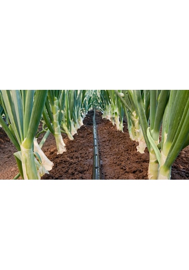 16Mm Delikli Kaplamalı Damlama Sulama Borusu( Ölçü Seçiniz )